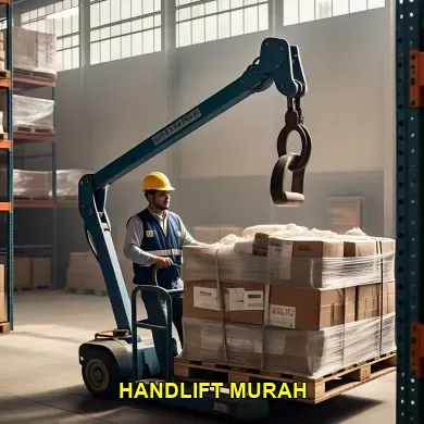 Sewa Handlift